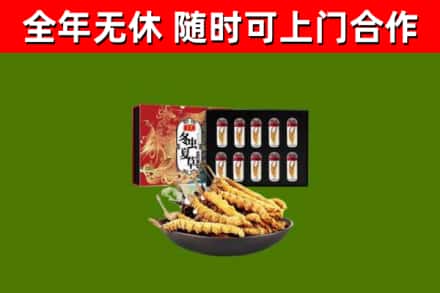 利川市回收冬虫夏草价格